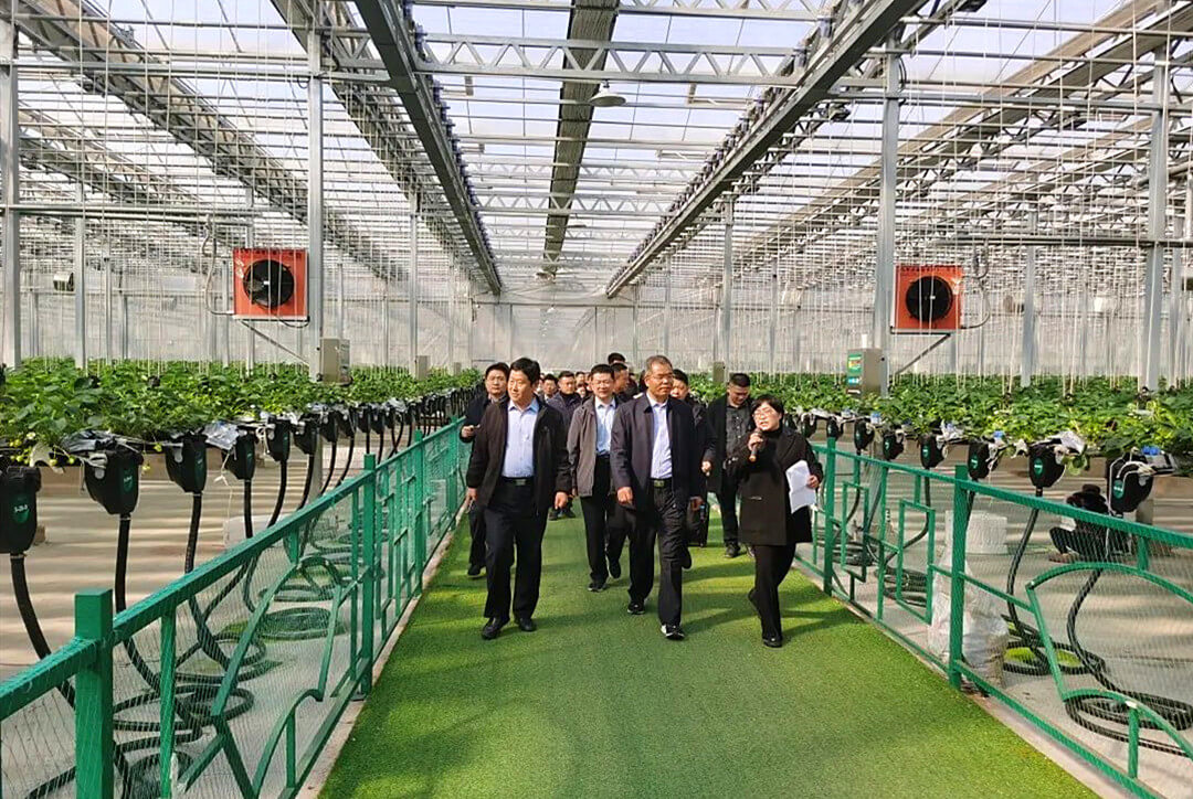 沂南县辛集镇组织开展乡村振兴外出观摩学习活动